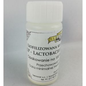Bakterie kwasu mlekowego Lactobacillus Plantarum 10g